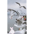 旅行风景7440