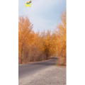 旅行风景7446