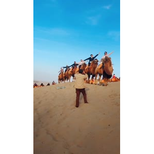 旅行风景7457