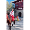 旅行风景7463