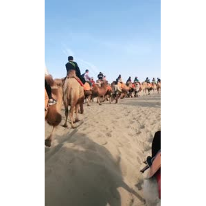 旅行风景7467