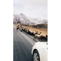 旅行风景7471