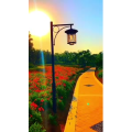 旅行风景7483