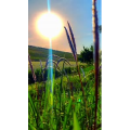 旅行风景7491