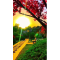 旅行风景7493
