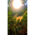 旅行风景7495