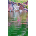 动物22