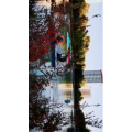 动物34