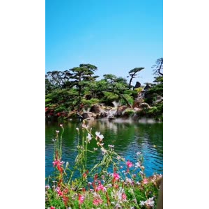 动物41