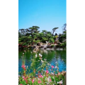 动物41