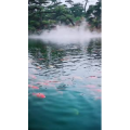 动物49