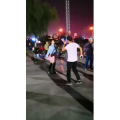 动物53