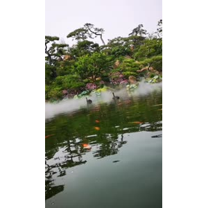 动物69