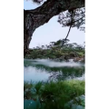 动物79
