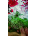 动物81