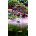 动物101