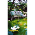动物102