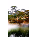 动物109