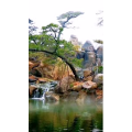 动物118