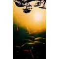 动物121