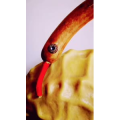 动物125