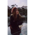 动物142