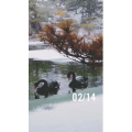动物144