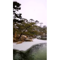 动物145