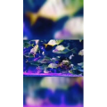 动物147
