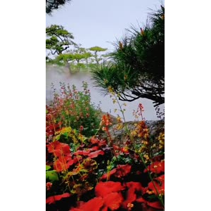 动物174