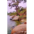 动物176