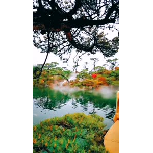 动物180