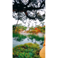 动物180