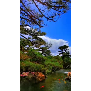 动物185