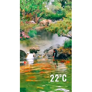 动物188