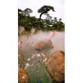 动物192