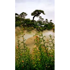 动物193