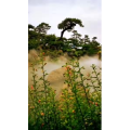 动物193