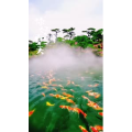 动物198