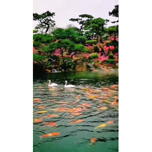 动物200