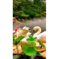 动物214