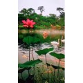 动物221