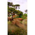 动物224