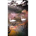 动物231