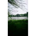 动物262