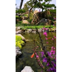 动物274