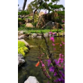 动物274