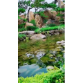 动物276