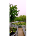 花114