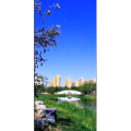 花182